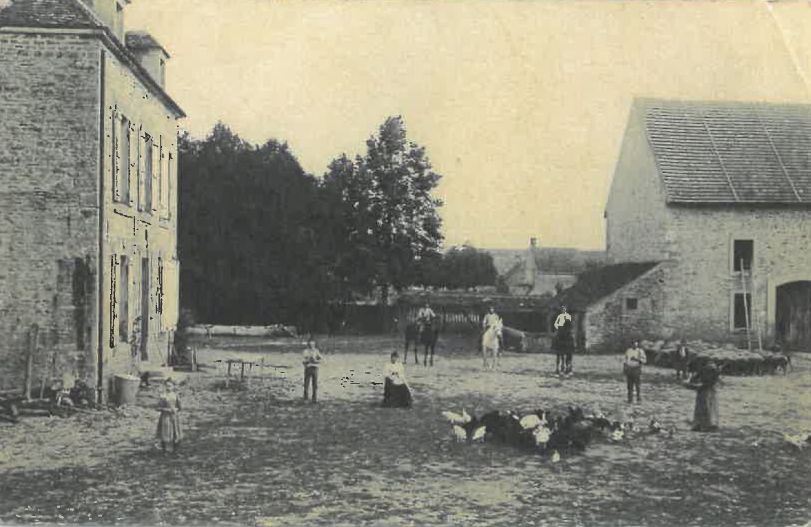 Description de l'image