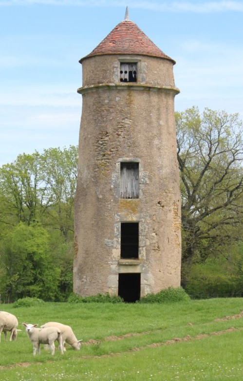 Description de l'image