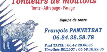 Tondeurs de moutons