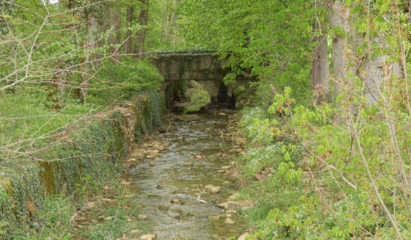 Vau de Bouche - Genouilly